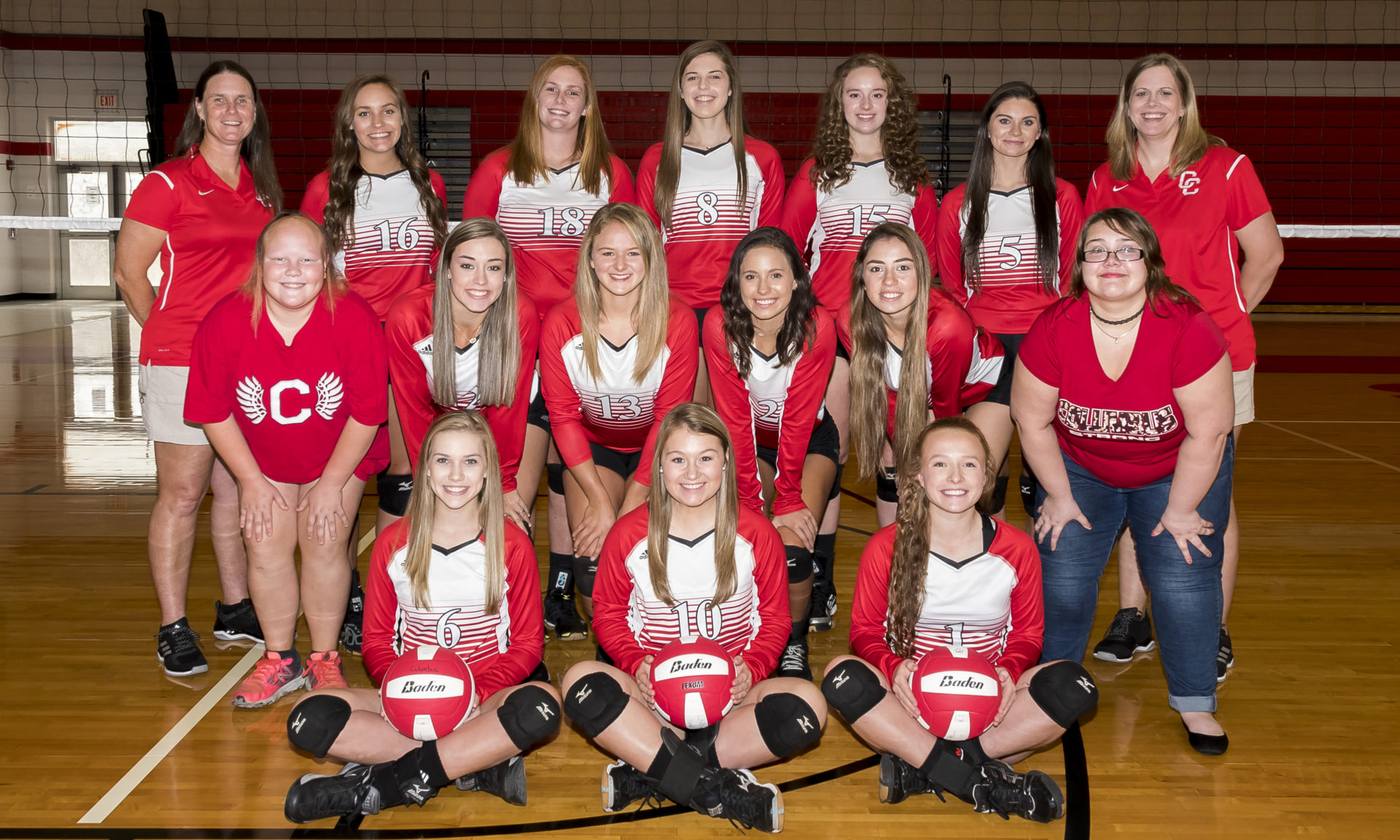 2017 Varsity Volleyball Team Flyer Cropped